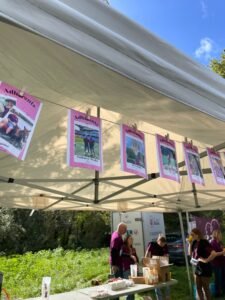 WhatsApp Image 2025-10-06 at 14.19.04